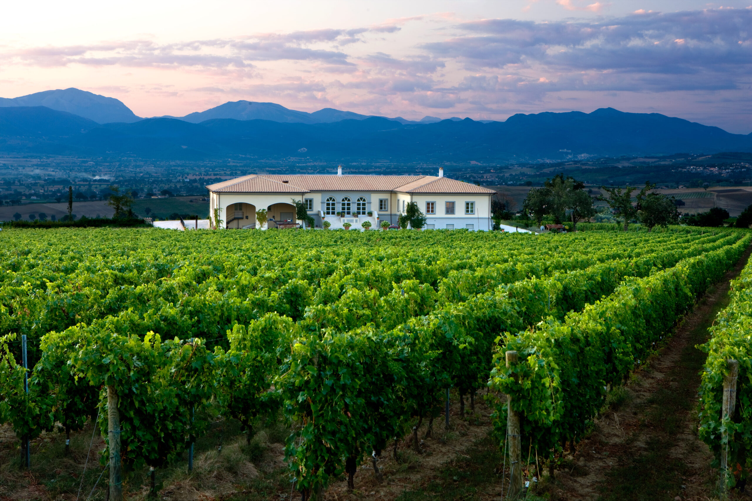 Montefalco_winery